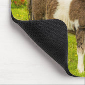 Shetland Pony Mother and Offspring Mousepad (Ecke)