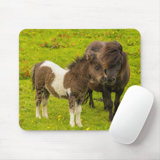 Shetland Pony Mother and Offspring Mousepad (Mit Mouse)