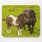 Shetland Pony Mother and Offspring Mousepad (Vorne)