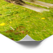 Shetland Pony Mother and Offspring Poster (Ecke)