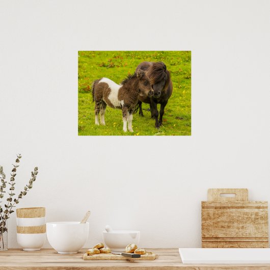 Shetland Pony Mother and Offspring Poster (Küche)