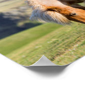 Shetland Pony on Pasta Nea High Cliffs, Mare Poster (Ecke)