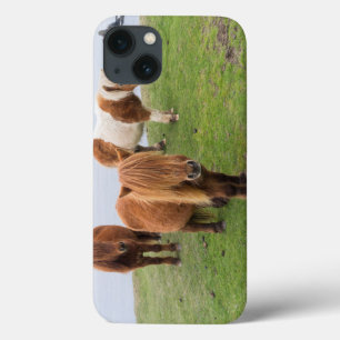 Shetland Pony on Pasture Near High Cliffs Case-Mate iPhone Hülle