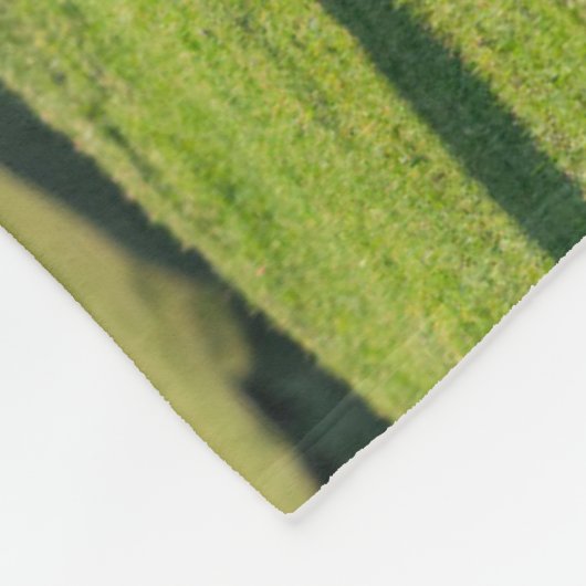 Shetland Pony on Pasture Near High Cliffs Fleecedecke (Ecke)