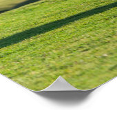 Shetland Pony on Pasture Near High Cliffs Poster (Ecke)