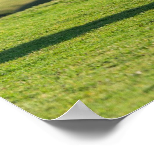 Shetland Pony on Pasture Near High Cliffs Poster (Ecke)