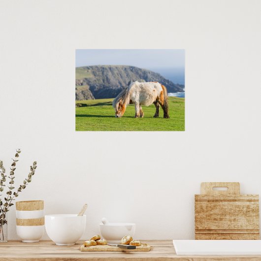 Shetland Pony on Pasture Near High Cliffs Poster (Küche)