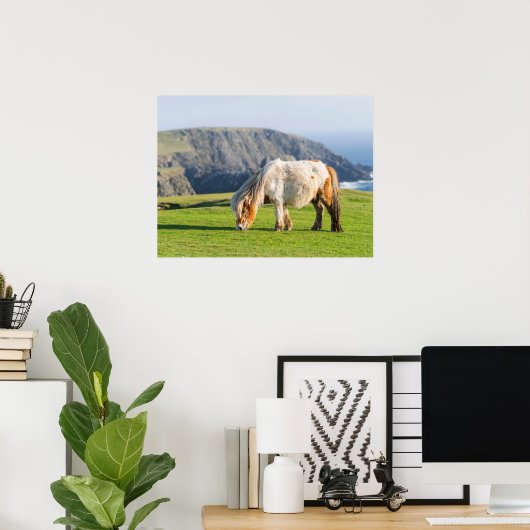 Shetland Pony on Pasture Near High Cliffs Poster (Heimbüro)