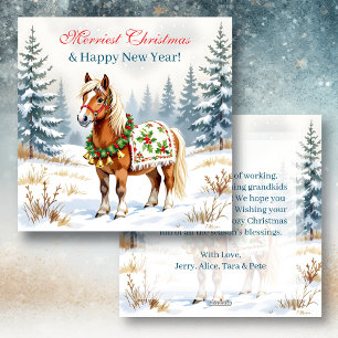 Shetland Pony Personalisiert Weihnachten