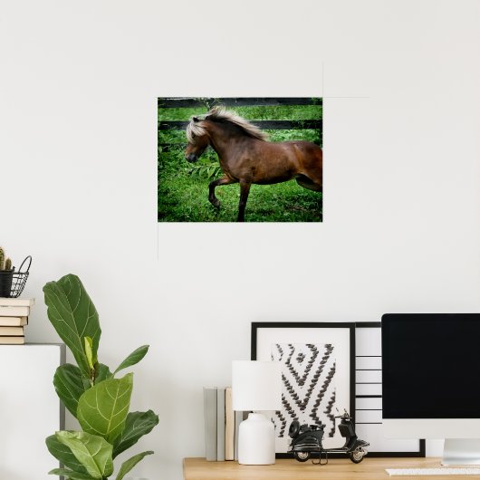 Shetland Pony Poster (Heimbüro)
