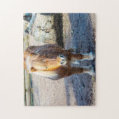 Shetland-Pony-Puzzle Puzzle (Vertikal)