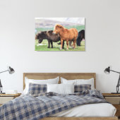 Shetland Pony, Shetland Islands, Schottland 2 Leinwanddruck (Insitu (Schlafzimmer))