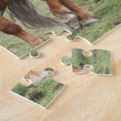 Shetland Pony, Shetland Islands, Schottland 2 Puzzle (Seite)
