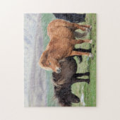 Shetland Pony, Shetland Islands, Schottland 2 Puzzle (Vertikal)