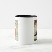 Shetland Pony, Shetland Islands Tasse (Zentrum)