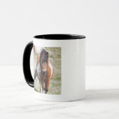 Shetland Pony, Shetland Islands Tasse (Vorderseite Links)