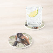 Shetland Pony, Shetland Islands Untersetzer (Seite)