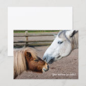 Shetland Pony und Highland Pony Postkarte (Vorne/Hinten)