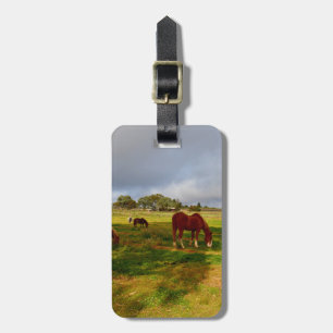 Shetland Ponys and Kastnut, Gepäckmarke Gepäckanhänger