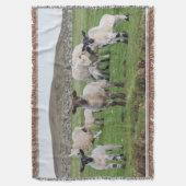 Shetland-Schaf Decke (Vorderseite Vertikal)