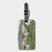 Shetland-Schaf Gepäckanhänger (Vorderseite vertikal)