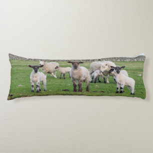 Shetland-Schaf Seitenschläferkissen