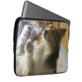 Shetland-Schäferhund Betteln Laptopschutzhülle (Vorne Rechts)