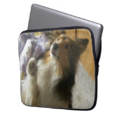 Shetland-Schäferhund Betteln Laptopschutzhülle (Vorderseite Links)