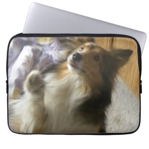 Shetland-Schäferhund Betteln Laptopschutzhülle
