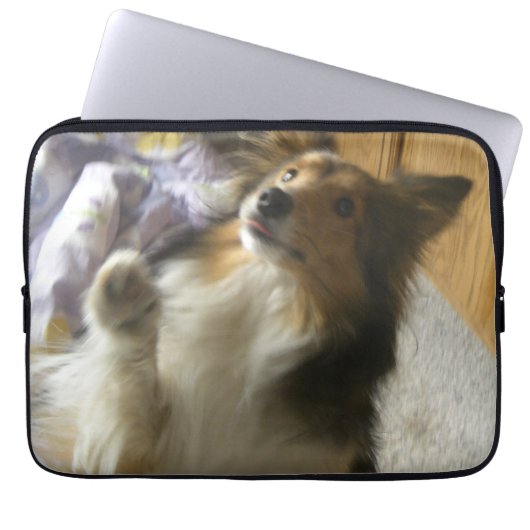 Shetland-Schäferhund Betteln Laptopschutzhülle (Vorderseite)