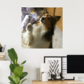 Shetland-Schäferhund Bettelt Poster (Heimbüro)