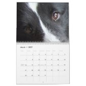 Shetland-Schäferhund Kalender (Mär 2027)