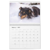 Shetland-Schäferhund Kalender (Feb 2027)