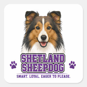 🐾 Shetland-Schäferhund 🐾 Quadratischer Aufkleber