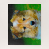 Shetland Schafhund Jigsaw. Puzzle (Vertikal)