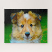 Shetland Schafhund Jigsaw. Puzzle (Horizontal)