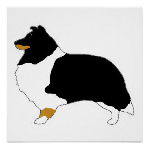 Shetland-Schafhund Schwarz-weiß und tan-Silo Poster