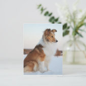 Shetland-Schafhundpapier Postkarte (Stehend Vorderseite)