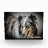 Shetland Sheep Dog Fotoblock (Vorderseite)