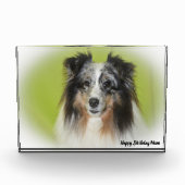 Shetland Sheep Dog Fotoblock (Vorderseite)
