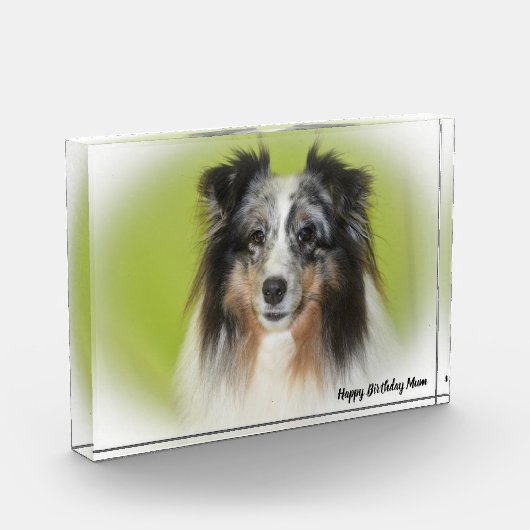 Shetland Sheep Dog Fotoblock (Links)