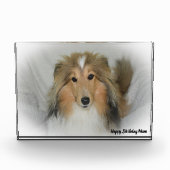 Shetland Sheep Dog Fotoblock (Vorderseite)