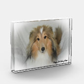 Shetland Sheep Dog Fotoblock (Links)