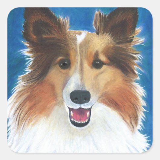 Shetland Sheep Dog Quadratischer Aufkleber (Vorderseite)