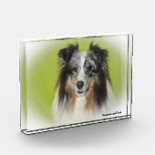 Shetland Sheep Hund. Fotoblock (Links)