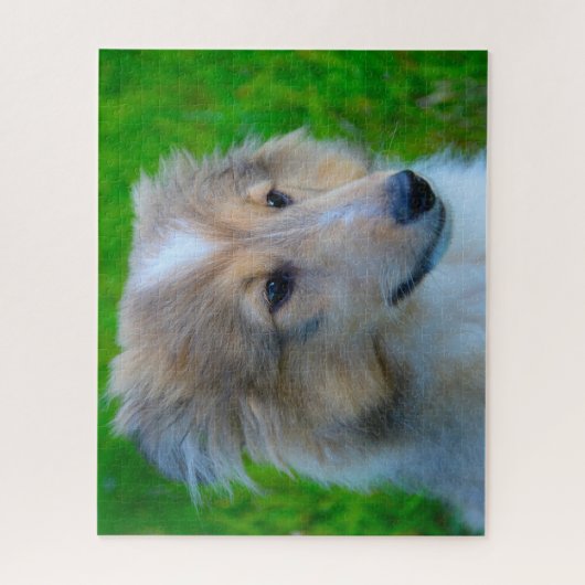 Shetland Sheep Hund Jigsaw. Puzzle (Vertikal)