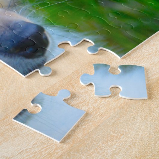 Shetland Sheep Hund Jigsaw. Puzzle (Seite)