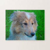 Shetland Sheep Hund Jigsaw. Puzzle (Horizontal)