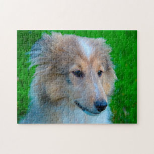 Shetland Sheep Hund Jigsaw. Puzzle