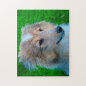 Shetland Sheep Hund Jigsaw. Puzzle (Vertikal)